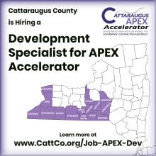 Hiring a Development Specialist for APEX Accelerator