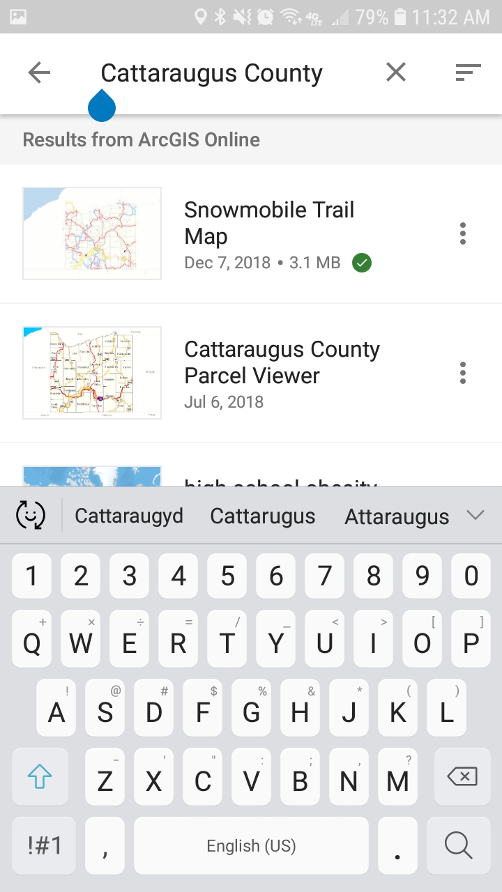 Cattaraugus County Mobile Map Viewer
